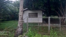 House for sale in Tinago, Bohol