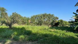 Land for sale in Fa Ham, Chiang Mai