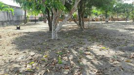 Land for sale in Chalong, Phuket