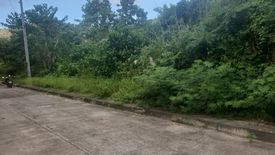 Land for sale in San Roque, Cebu