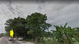 Land for sale in Concepcion, La Union