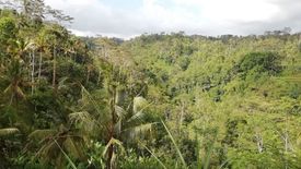 Tanah dijual dengan  di Batubulan, Bali