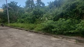 Land for sale in Sacsac, Cebu