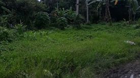 Land for sale in Bunawan, Davao del Sur