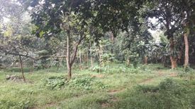 Land for sale in Dalig, Rizal