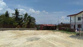 Land for rent in Inayawan, Cebu