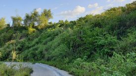 Land for sale in Sacsac, Cebu