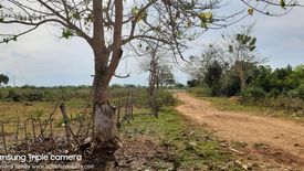 Land for sale in Poblacion, Bohol