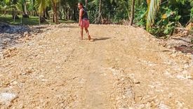 Land for sale in Poblacion V, Surigao del Norte