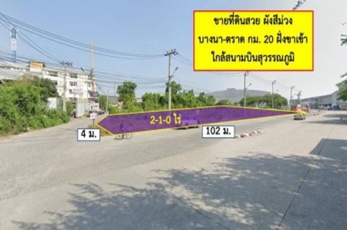 ขายที่ดิน ใน ศีรษะจรเข้ใหญ่, บางเสาธง