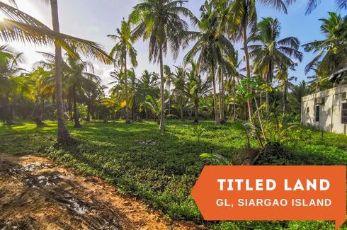 Land for sale in Catangnan, Surigao del Norte