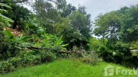 Land for sale in Kamala, Phuket