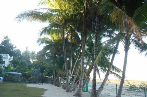 Land for sale in Punta Cruz, Bohol