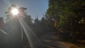 Land for sale in San Isidro, Bohol