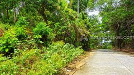 Land for sale in Karon, Phuket