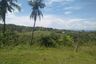Land for sale in Can-Asujan, Cebu