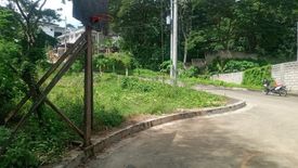 Land for sale in Pulangbato, Cebu