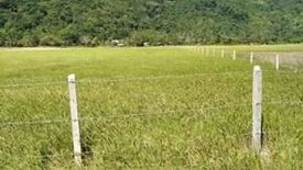 Land for sale in Bebeladan, Palawan