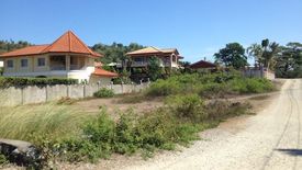 Land for sale in Cabaroan, La Union