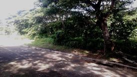 Land for sale in Pulangbato, Cebu