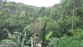 Land for sale in Booy, Bohol