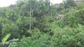 Land for sale in Booy, Bohol