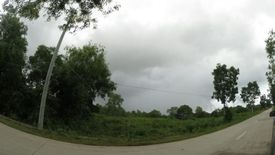 Land for sale in Dao, Bohol