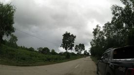 Land for sale in Dao, Bohol