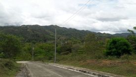 Land for sale in Pulangbato, Cebu