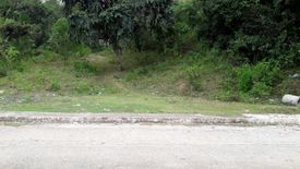 Land for sale in Pulangbato, Cebu