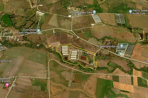 Land for sale in San Agustin, Tarlac