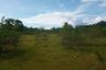 Land for sale in Bingag, Bohol