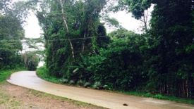 Commercial for sale in Salvacion, Palawan