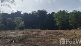 Land for sale in Choeng Thale, Phuket