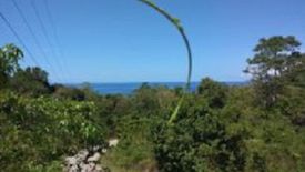 Land for sale in Maite, Siquijor