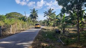 Land for sale in Biking, Bohol