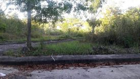 Land for sale in San Roque, Cebu