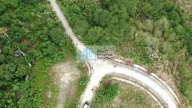 Land for sale in Talamban, Cebu