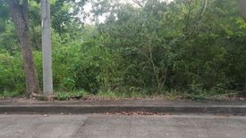 Land for sale in San Roque, Cebu