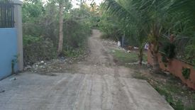 Land for sale in Dao, Bohol