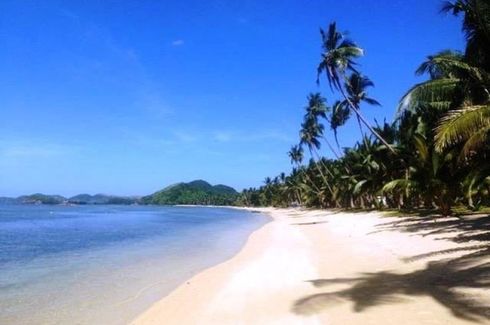 Commercial for sale in New Busuanga, Palawan