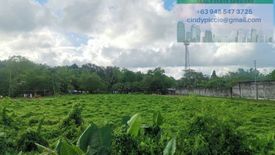 Land for sale in Abeto Mirasol Taft South, Iloilo
