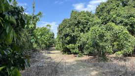 ขายที่ดิน ใน หารแก้ว, หางดง