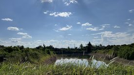 ขายที่ดิน ใน หารแก้ว, หางดง