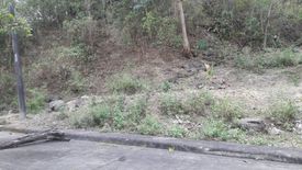 Land for sale in Pit-Os, Cebu