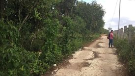 Land for sale in Danao, Bohol