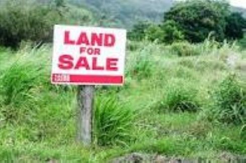 Land for sale in Manuyo Uno, Metro Manila
