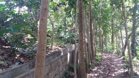 Land for sale in Bayorbor, Batangas