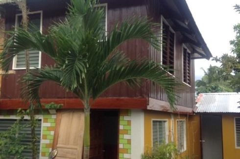 8 Bedroom House for sale in Manlucahoc, Negros Occidental