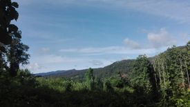 Land for sale in Mae Sap, Chiang Mai